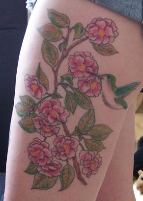 Hummingbird Tats